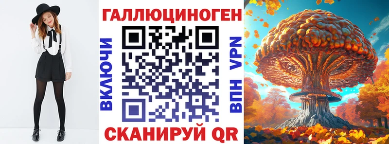 Купить  Владикавказ  Галлюциногенные грибы Psilocybine cubensis 